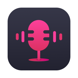 ViWizard Audio Capture