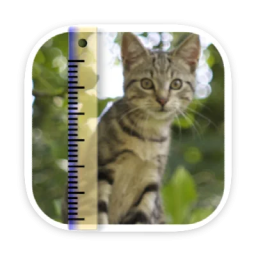 macOS软件 SizeMyPics v1.8.1 破解版免费下载