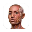macOS软件 Complete Anatomy v11.0 破解版免费下载