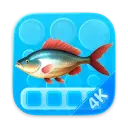Aquarium 4K - Live Wallpaper