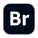 macOS软件 Adobe Bridge 2025 v15.1.1 破解版免费下载
