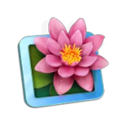 LilyView