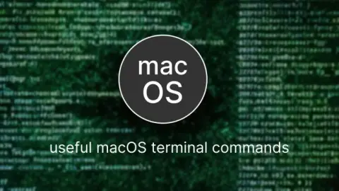 macOS终端命令:提高系统管理效率的实用工具