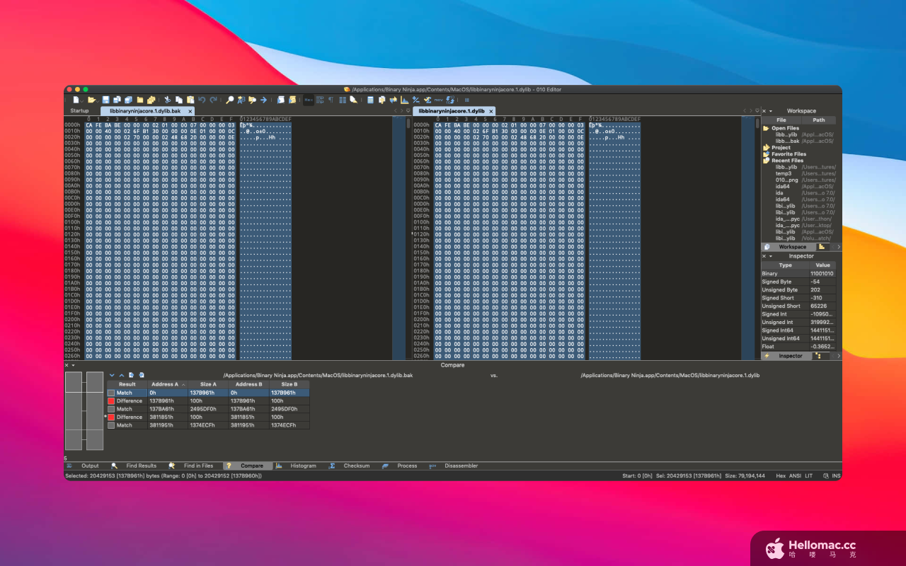 010 Editor v15.0.2