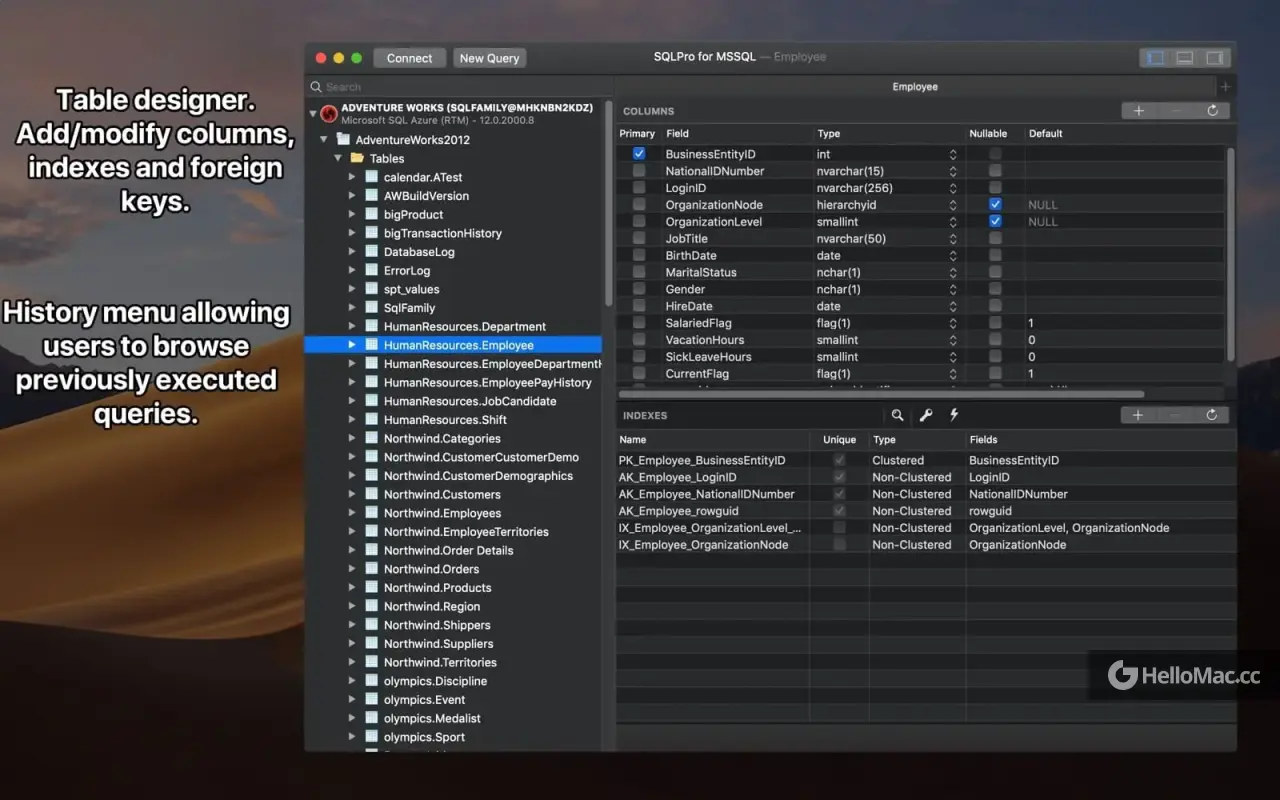 SQLPro for MSSQL v2024.73