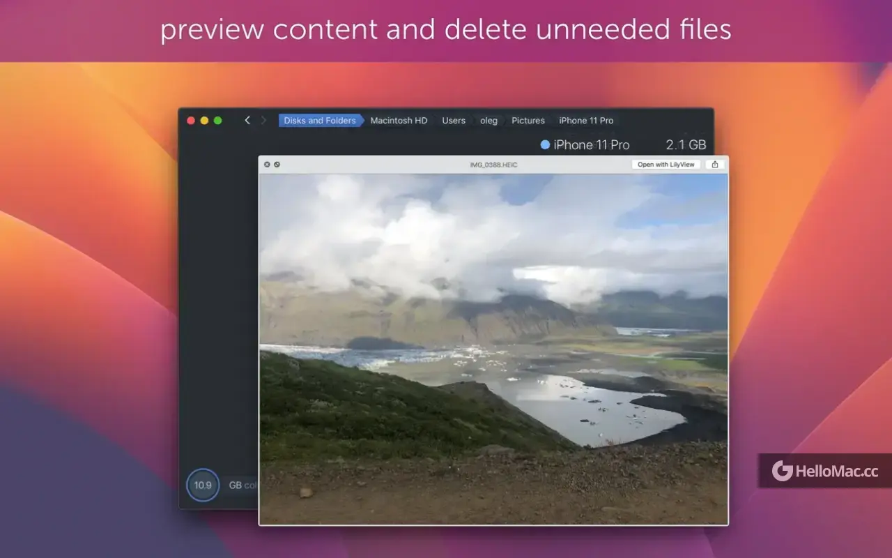 DaisyDisk v4.32 4.32