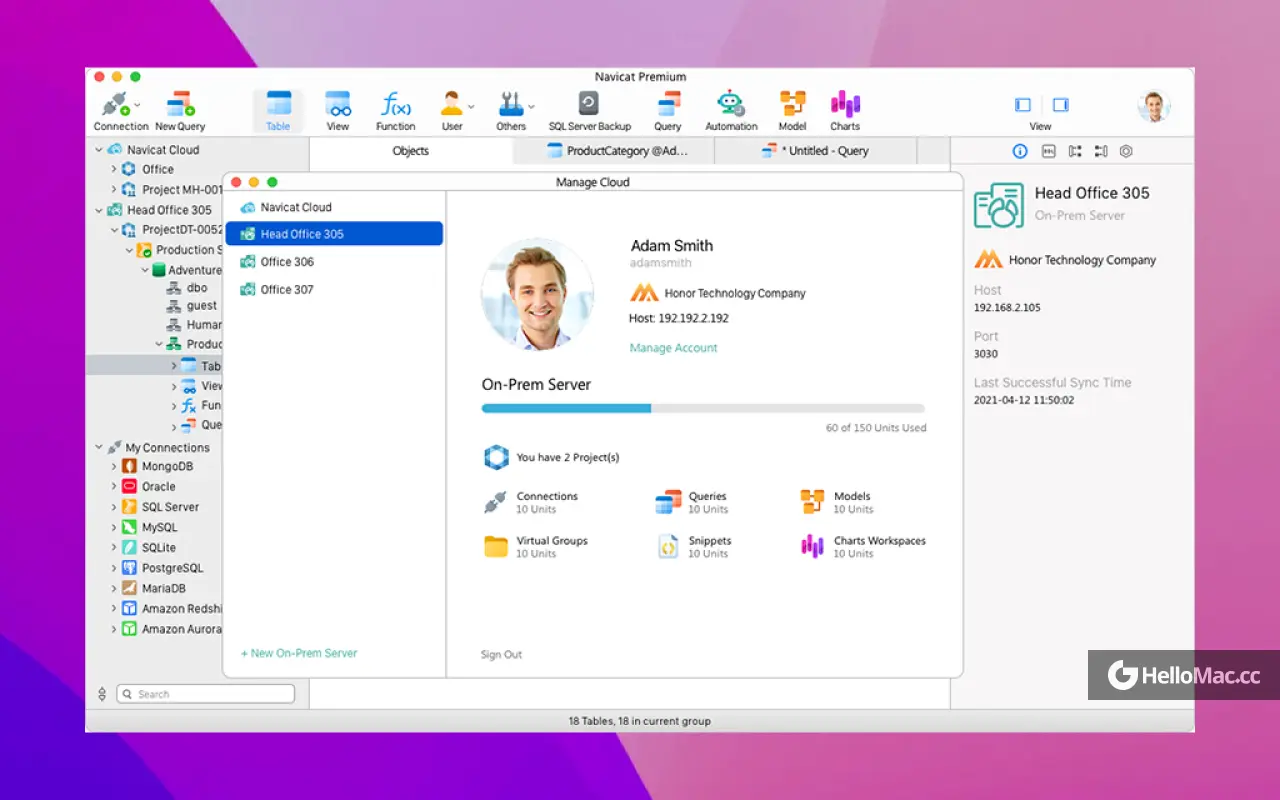 Navicat Premium v17.3.4