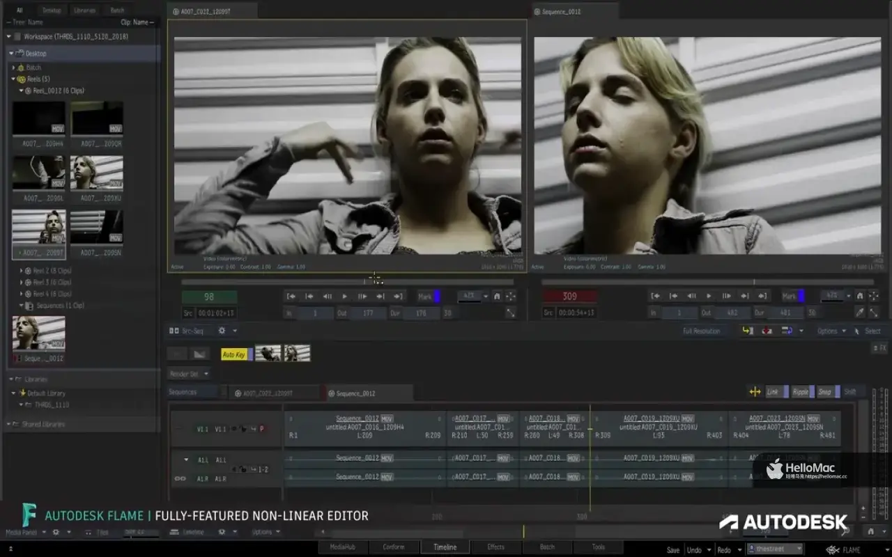 Autodesk Flame 2025 v2025.2.2