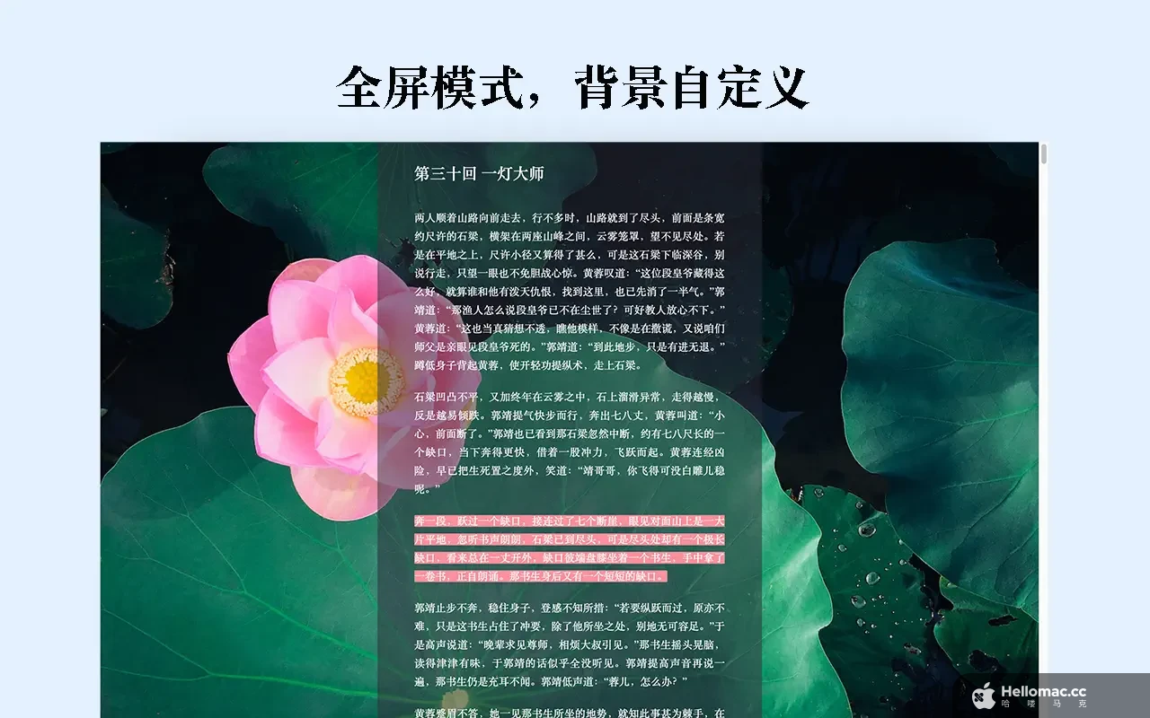 TXT Reader v2.8.6 MAS