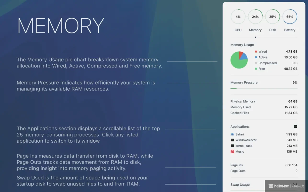 Monit v2.2.3 MAS