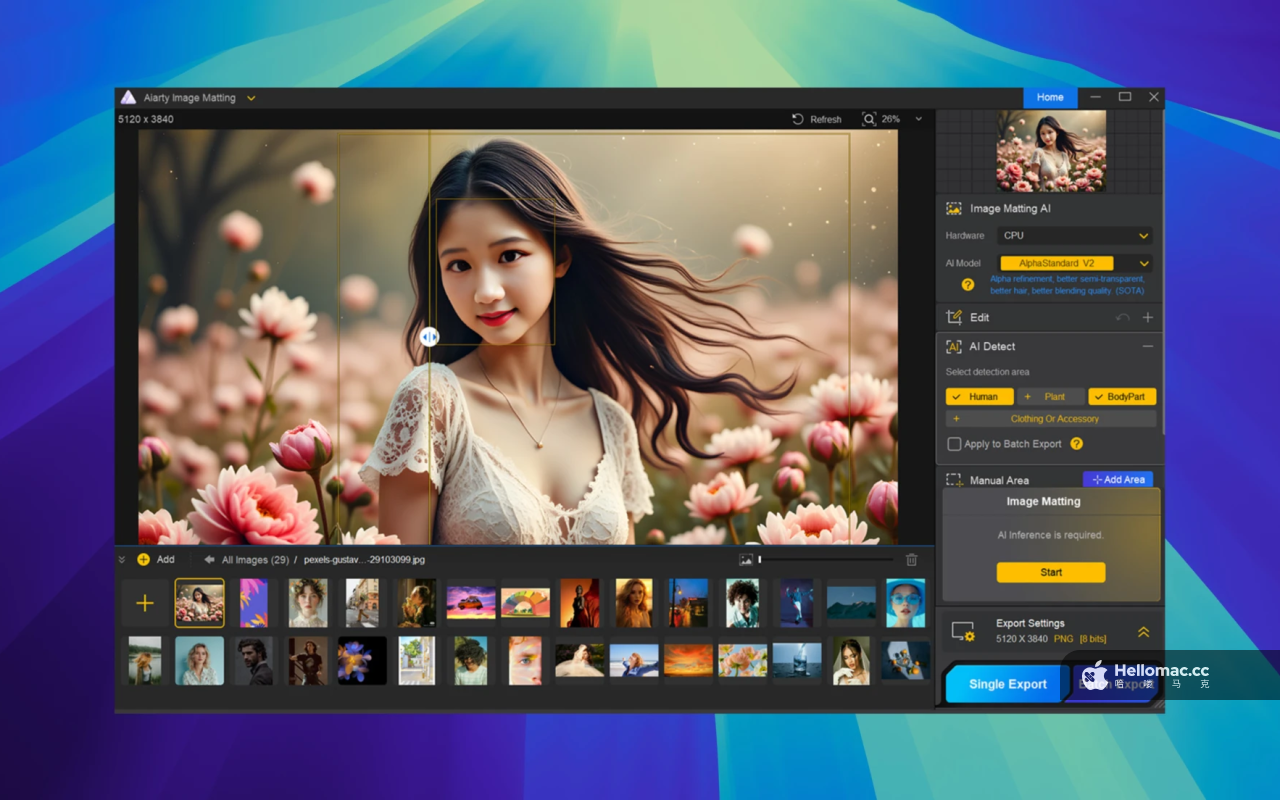 Aiarty Image Matting v2.5 251