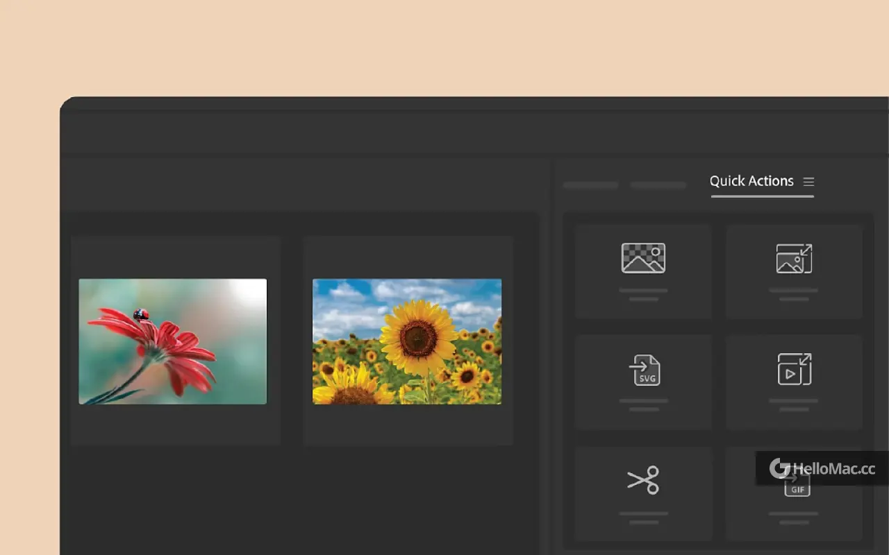 Adobe Bridge 2025 v15.1.1