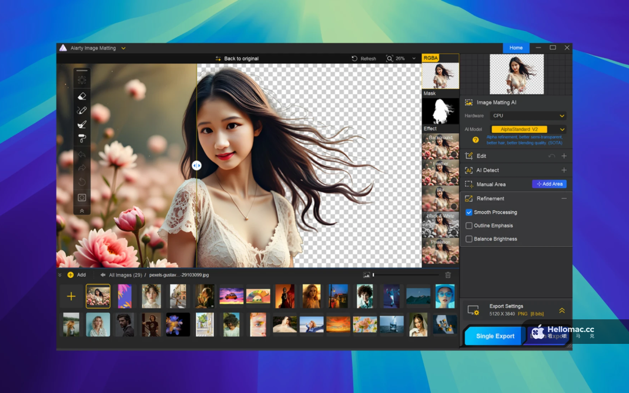 Aiarty Image Matting v2.5 251