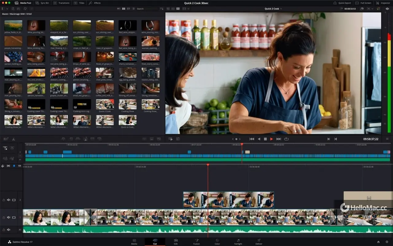 DaVinci Resolve Studio 20 v20.2.1