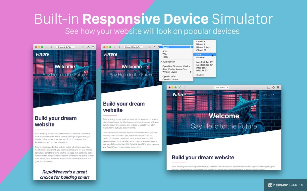 RapidWeaver v9.5.0 21134