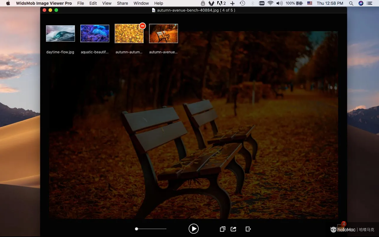 WidsMob Viewer Pro v2.20 MAS