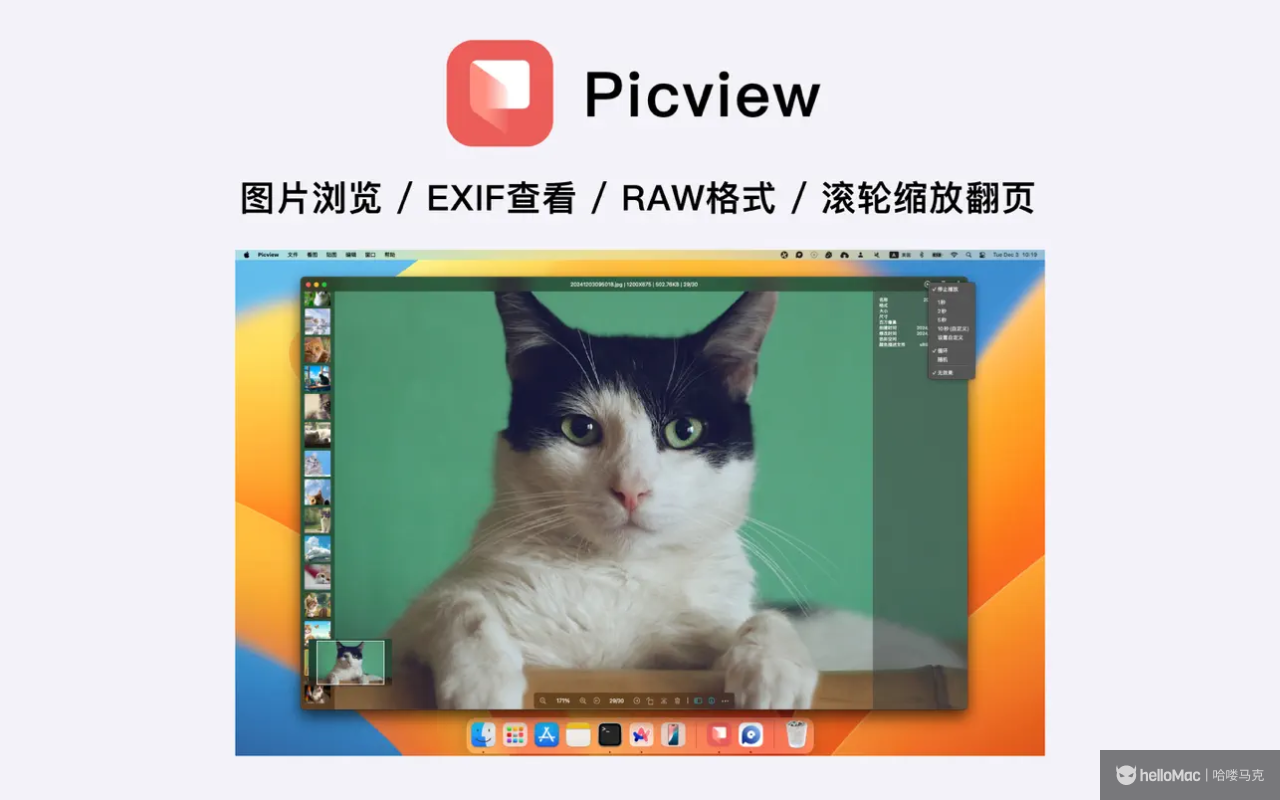 Picview v1.4.8