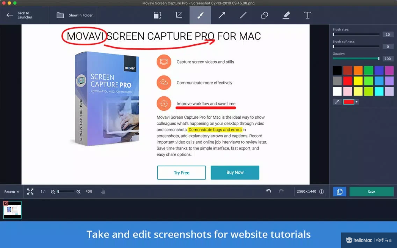 Movavi Screen Capture Pro v10.1.0