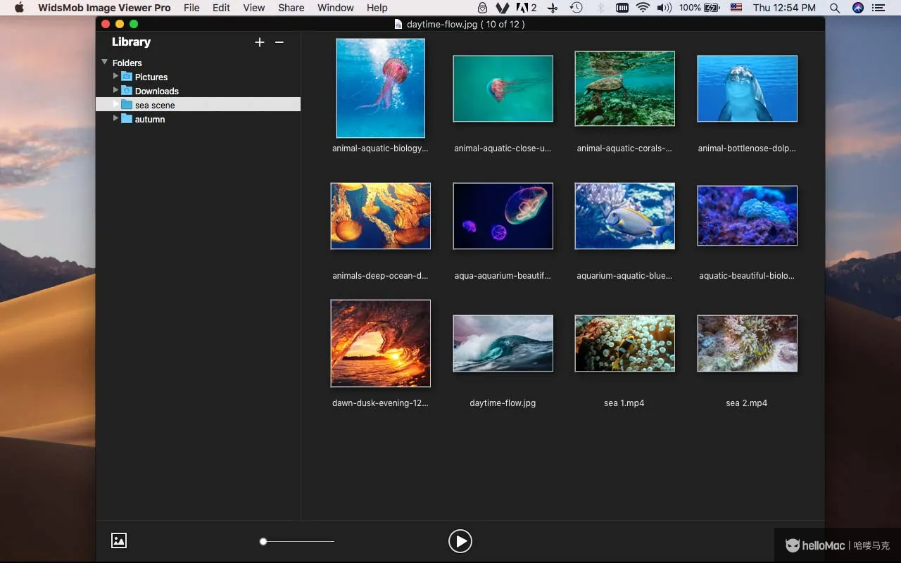WidsMob Viewer Pro v2.20 MAS
