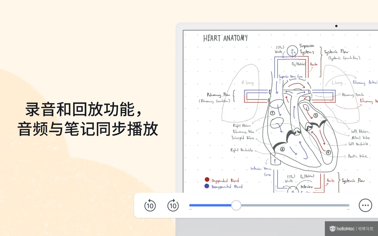Notability v14.11.1 MAS
