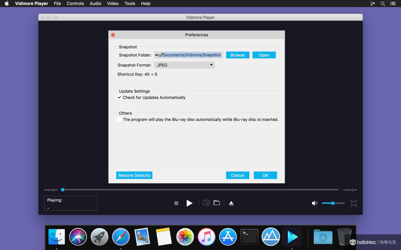 Vidmore Player v1.0.68