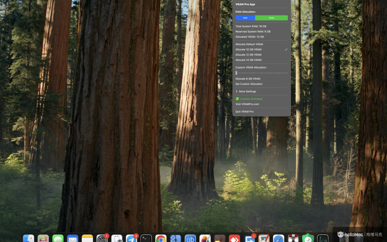 VRAM Pro v2.1.4