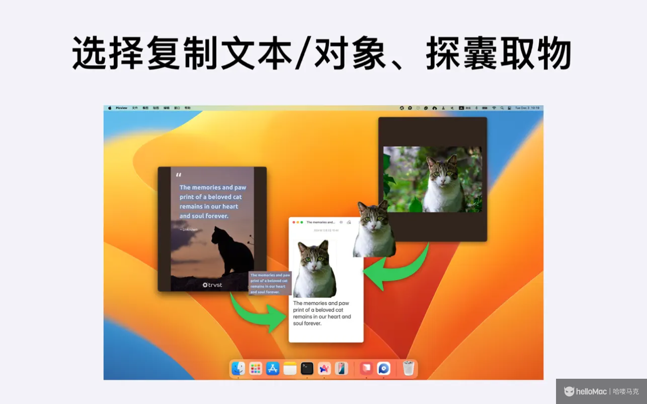 Picview v1.4.8