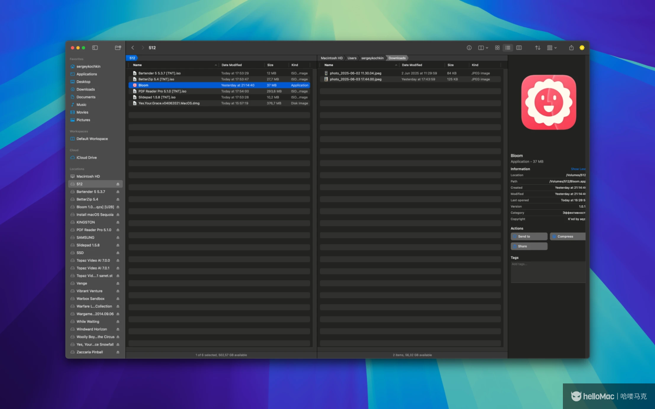 Bloom v1.4.2 108