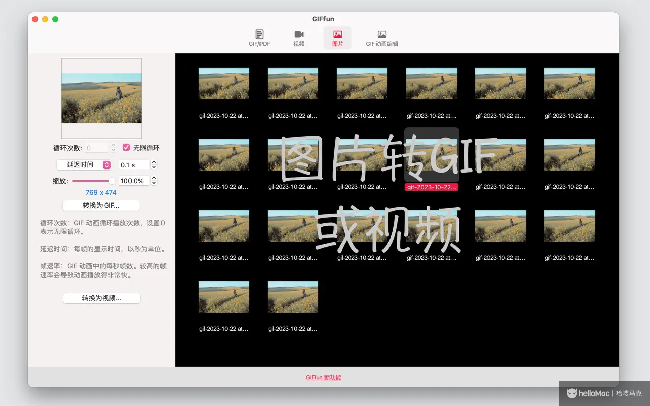 GIFfun - GIF制作器 v10.6.15 MAS
