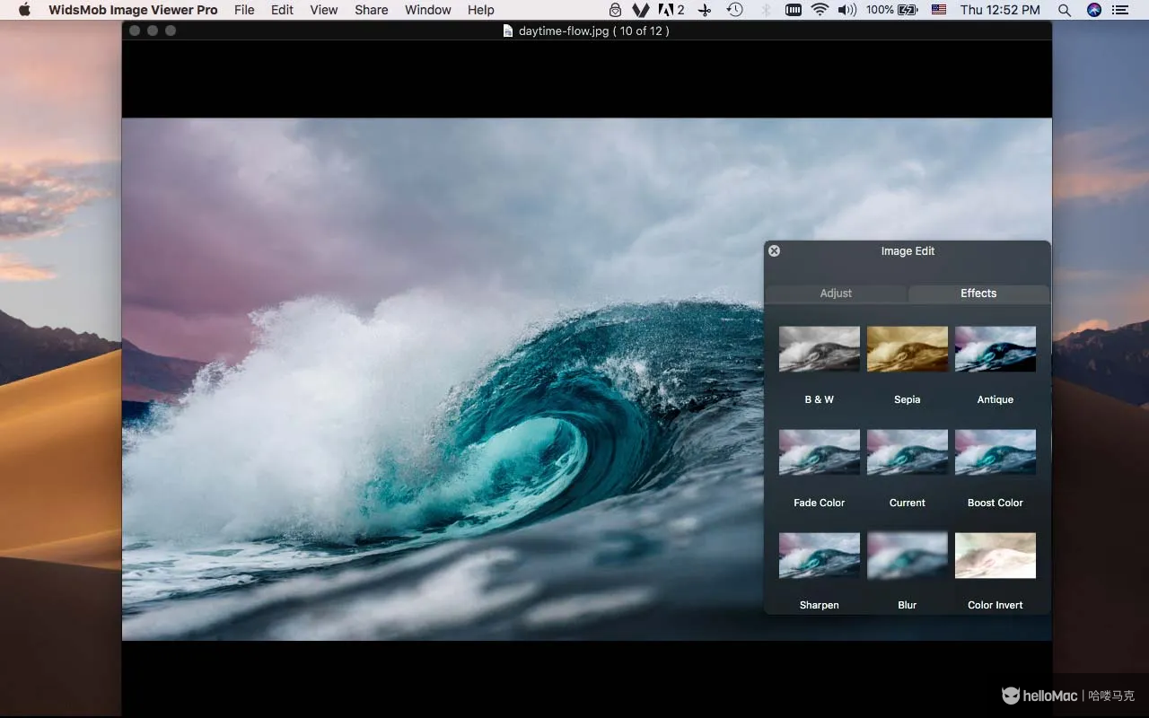WidsMob Viewer Pro v2.20 MAS