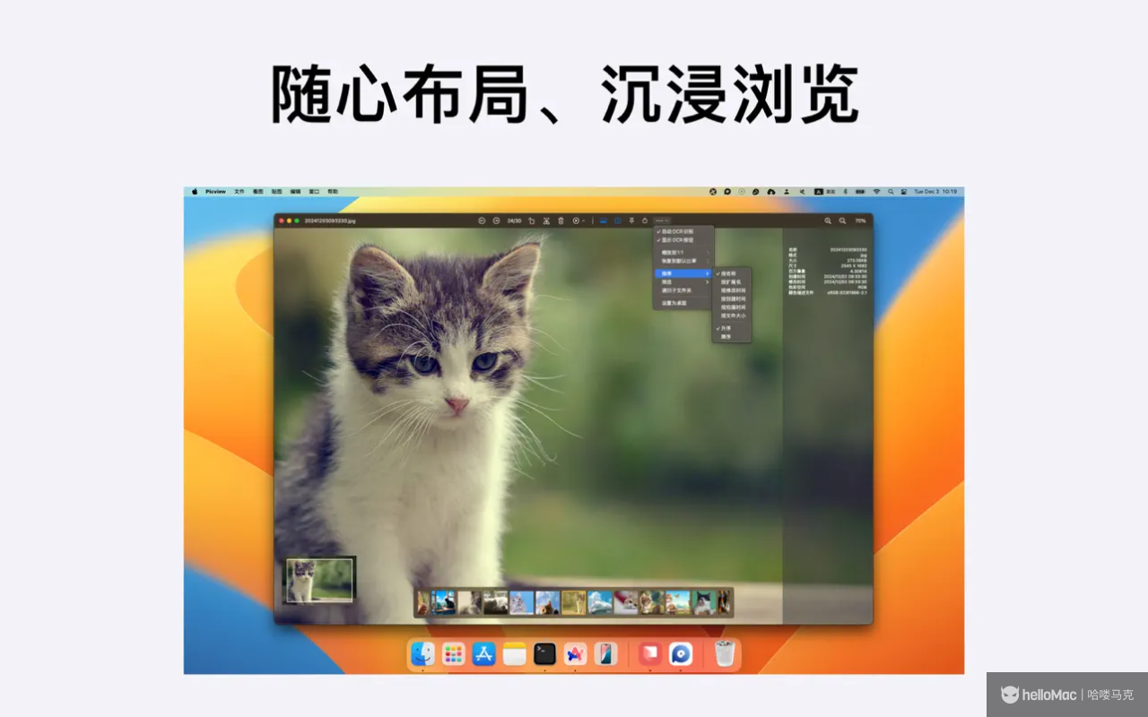 Picview v1.4.8