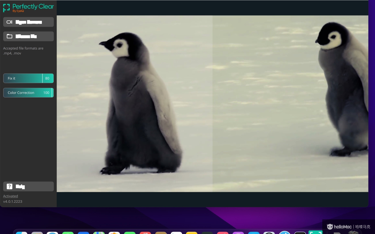 Perfectly Clear Video v4.6.1.2701