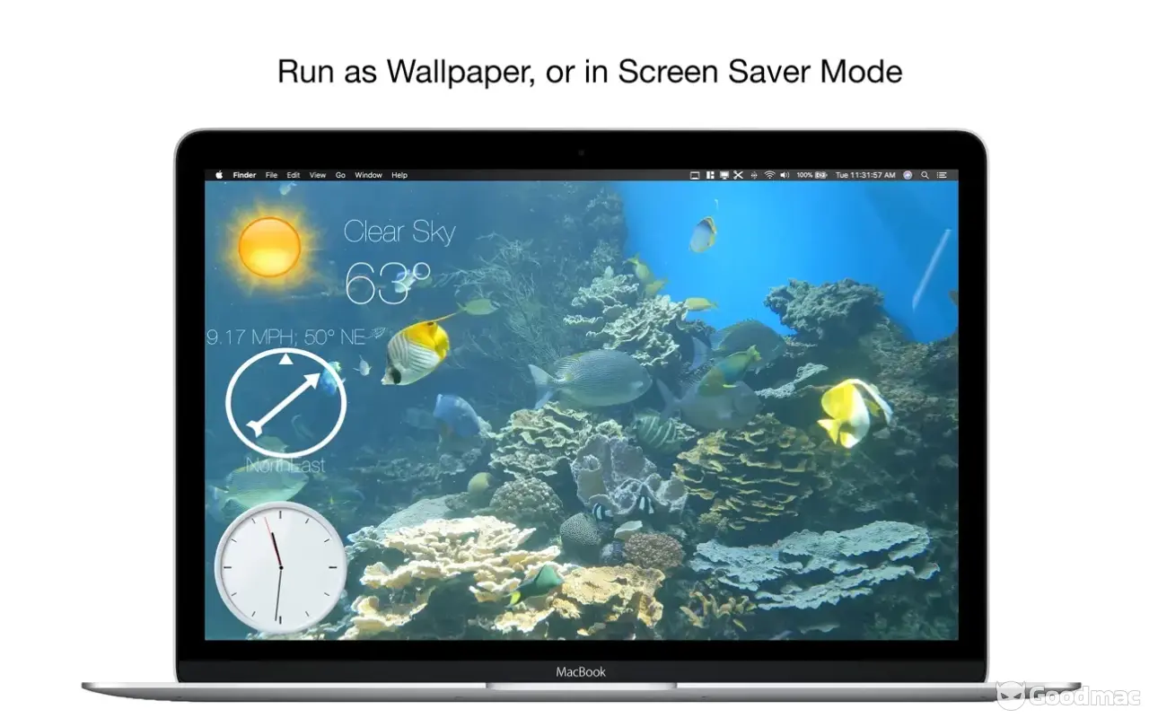 Aquarium 4K - Live Wallpaper v1.1.1 MAS