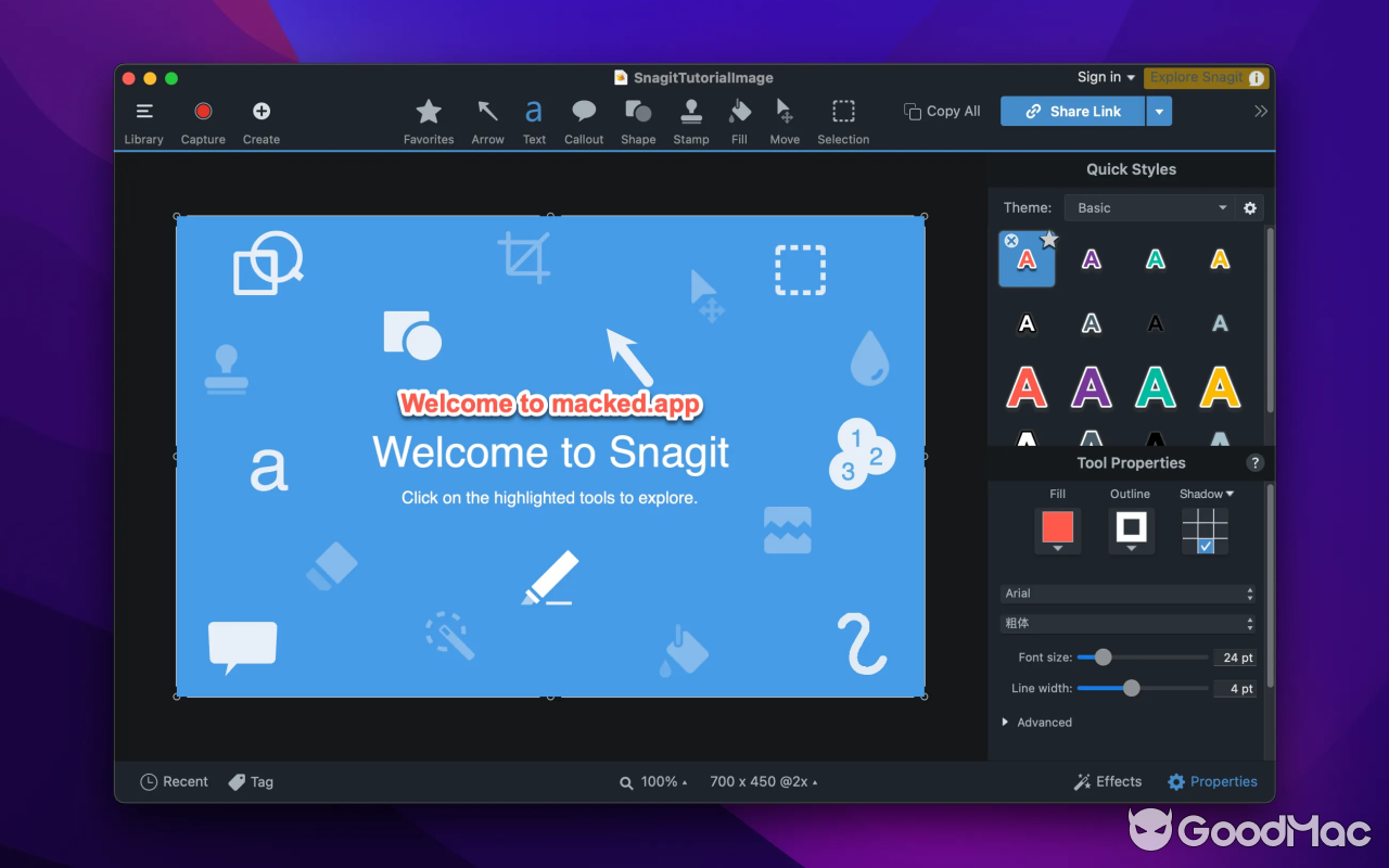 Snagit 2024 v2025.4.8