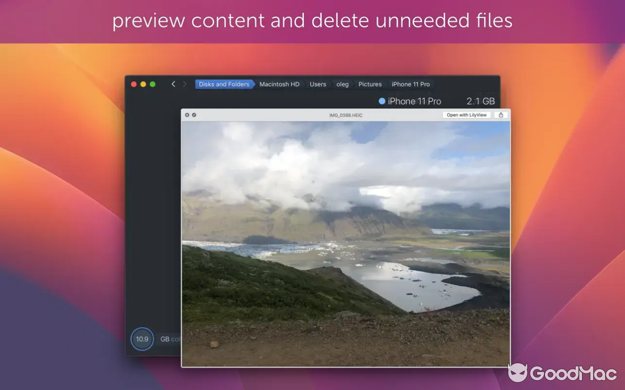 DaisyDisk v4.32 4.32