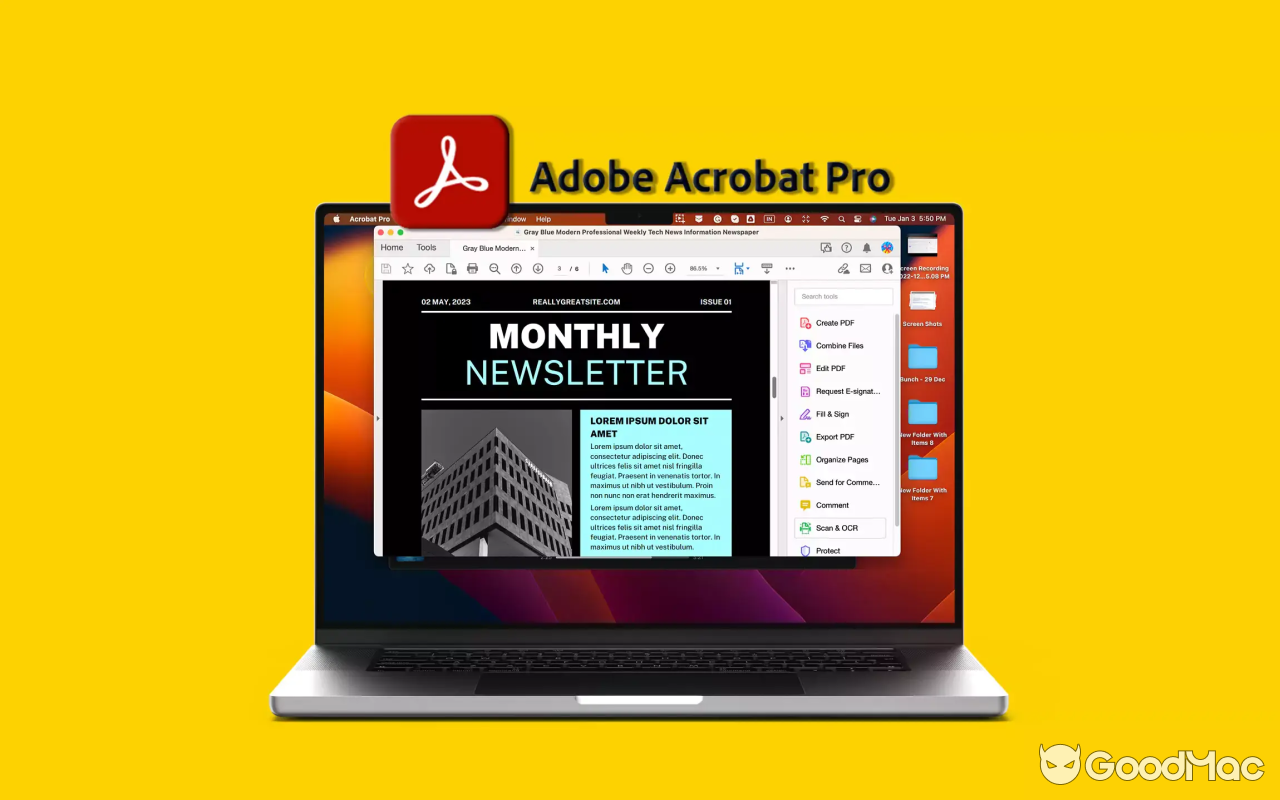 Adobe Acrobat Pro DC v25.001.20756