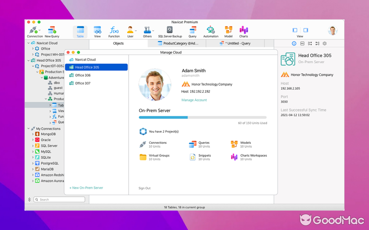 Navicat Premium v17.3.4