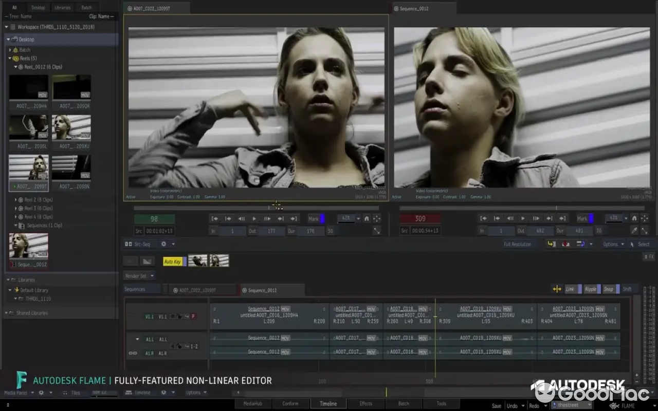 Autodesk Flame 2025 v2025.2.2