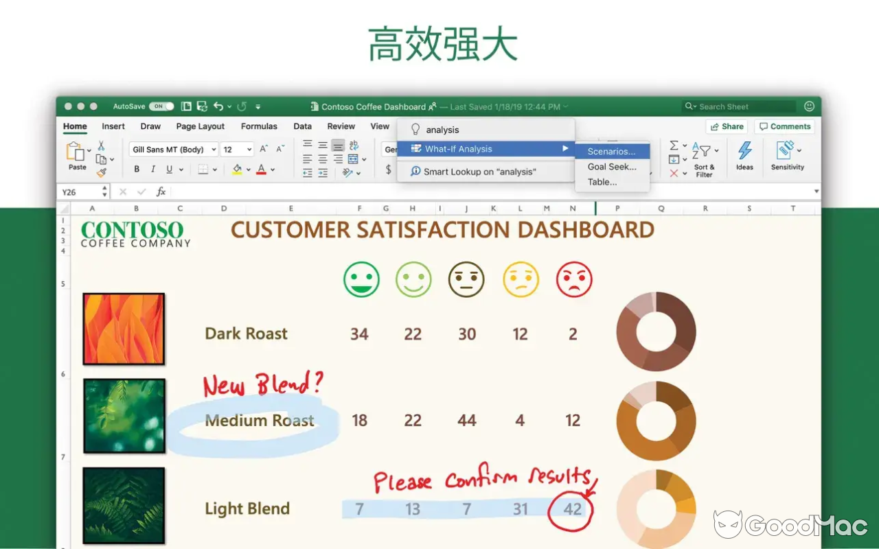 Microsoft 365 Excel LTSC 2024 v16.91
