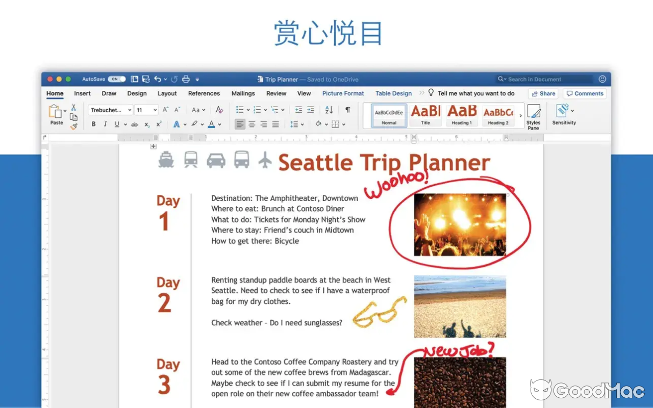 Microsoft 365 Word LTSC 2024 v16.91