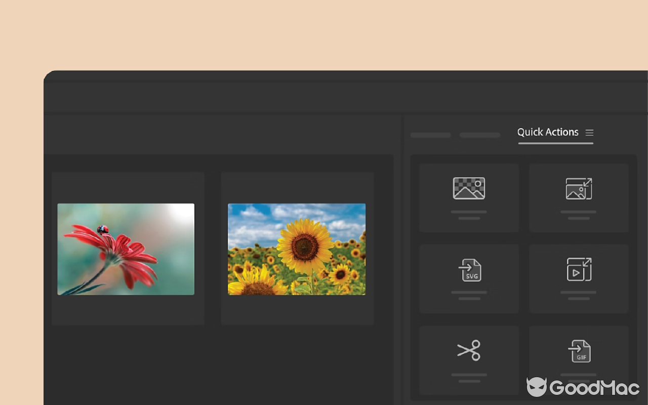 Adobe Bridge 2025 v15.1.2