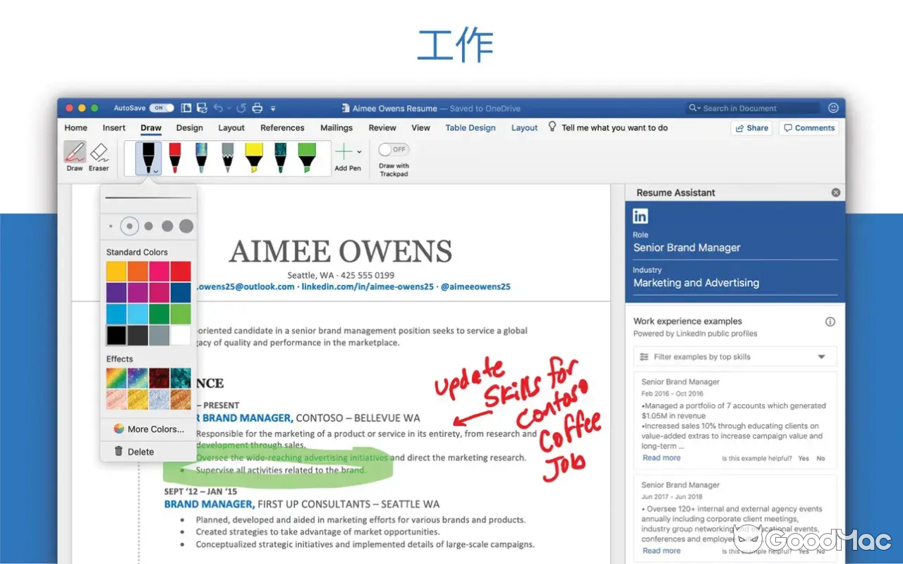 Microsoft 365 Word LTSC 2024 v16.91