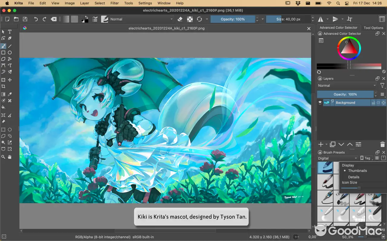 Krita v5.2.6
