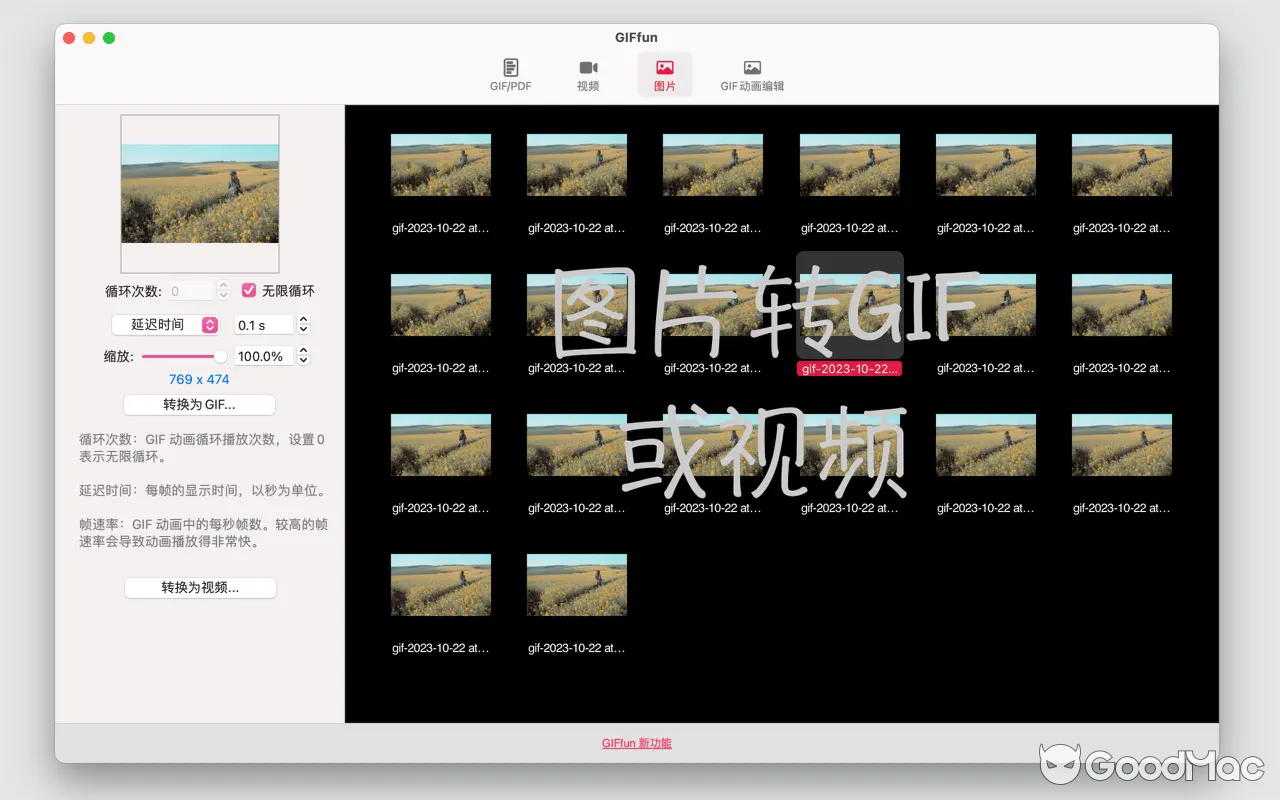 GIFfun - GIF制作器 v10.6.15 MAS