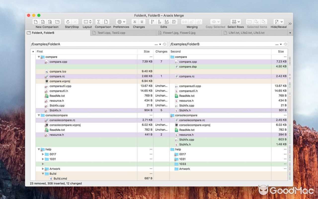 Araxis Merge v2025.1