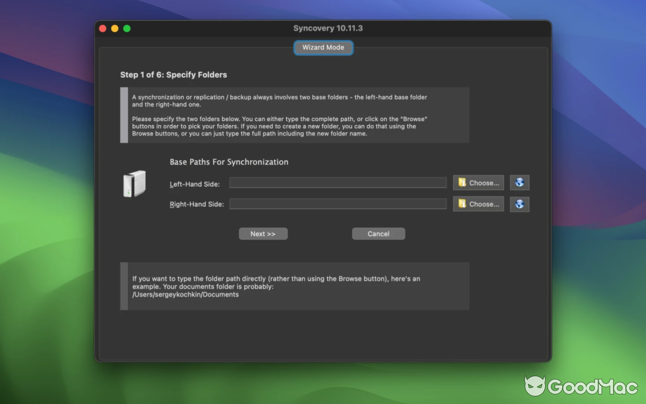 Syncovery Professional v10.17.5