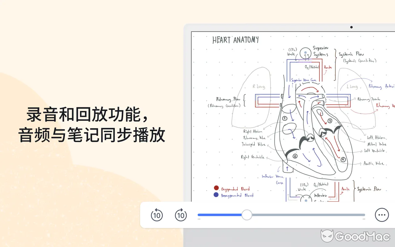 Notability v14.11.1 MAS