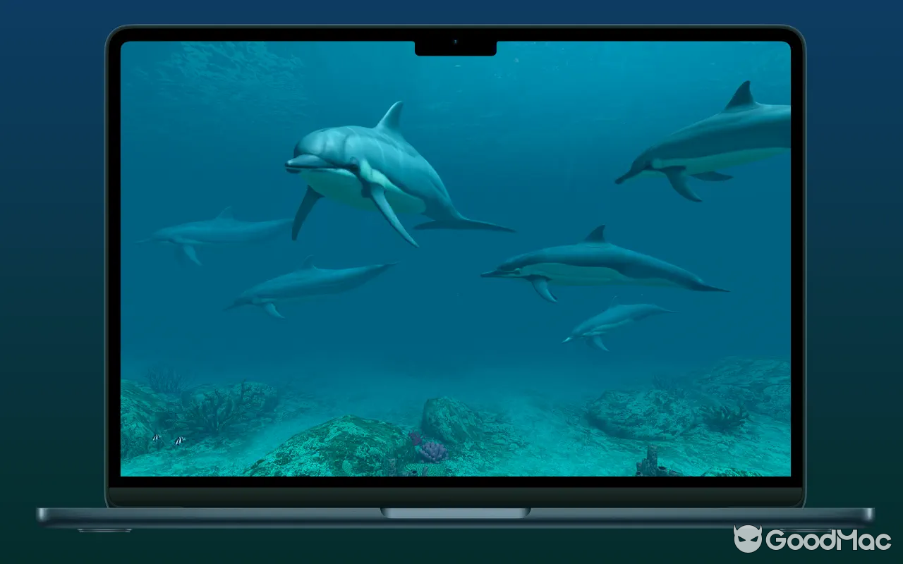 Screen Wonders v3.5.0 MAS