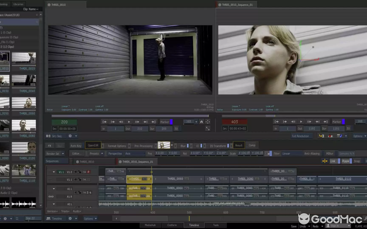 Autodesk Flame 2026 v2026