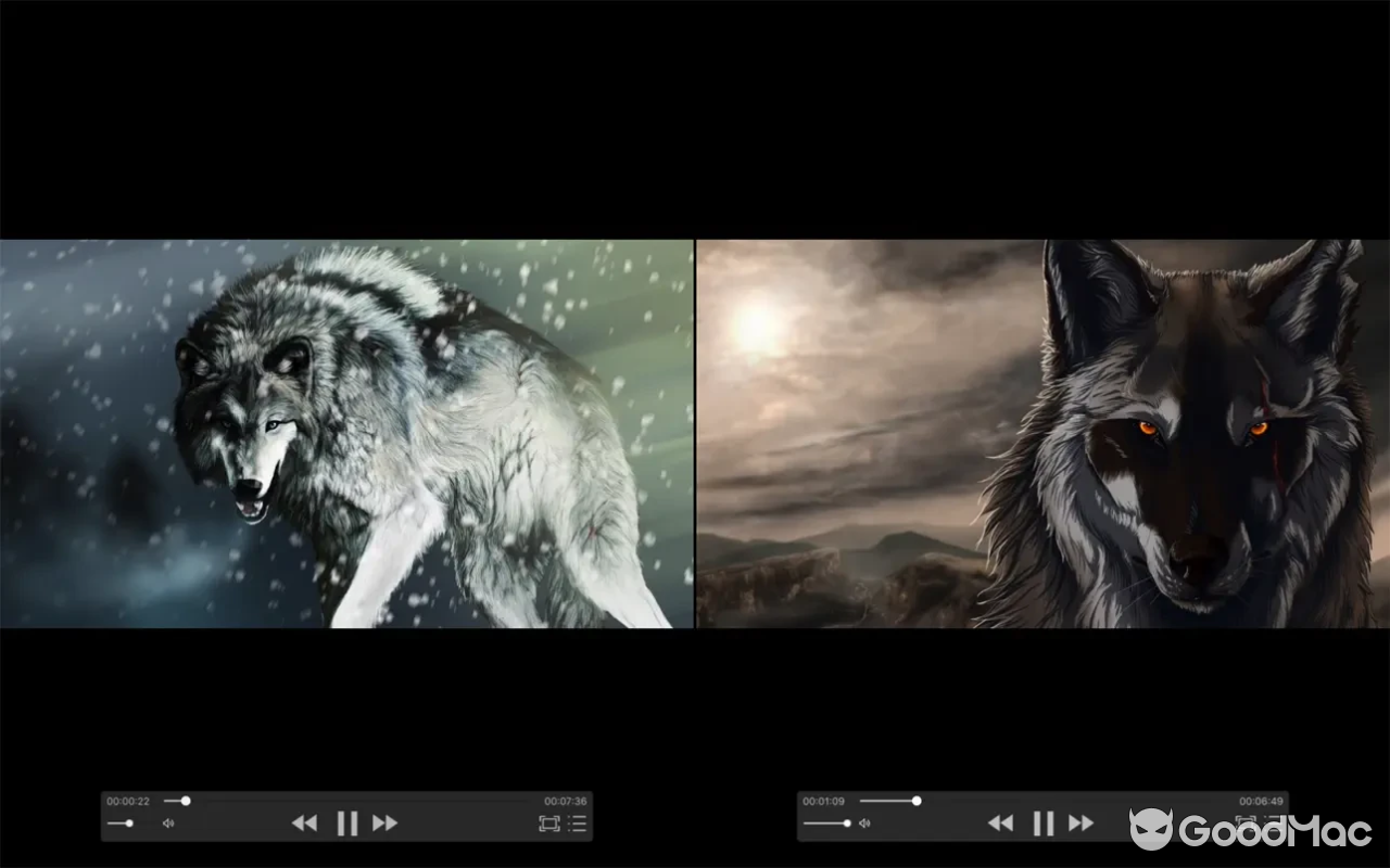 zFuse Pro v1.7.56 MAS